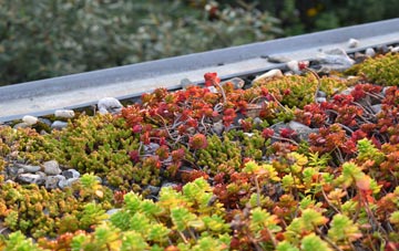 the cost of Little Ayton green roof installation